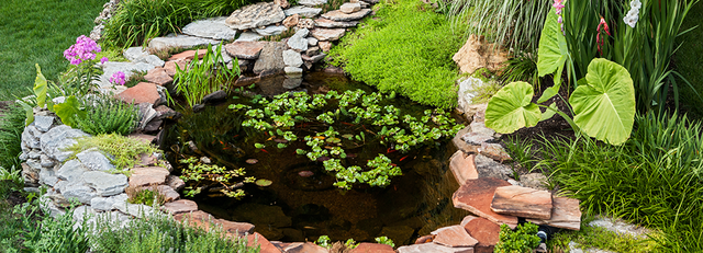 Vasca Giardino Fai Da Te.Laghetto Fai Da Te In Giardino Come Crearlo E Decorarlo