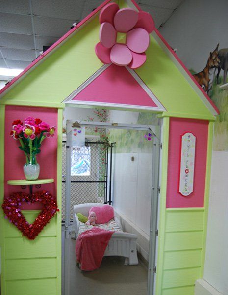 town and country pet boarding