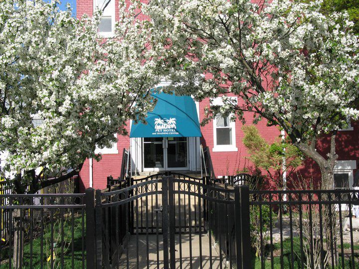 Malibu Pet Hotel | Pet Boarding