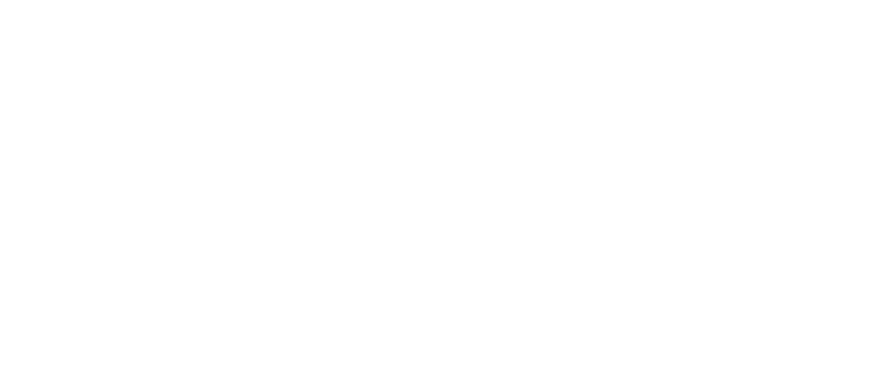 island ortho logo