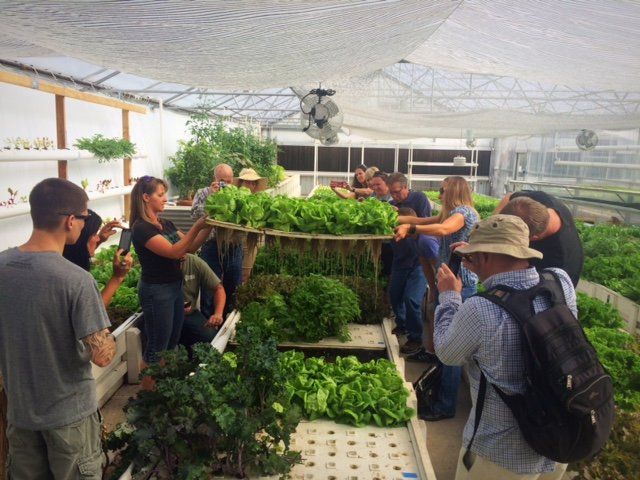 controlled environment agriculture - aquaponics veterans
