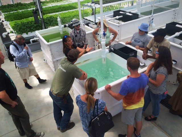 controlled environment agriculture - aquaponics veterans