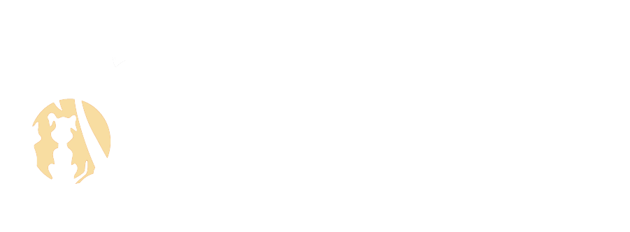 beaches pet resort