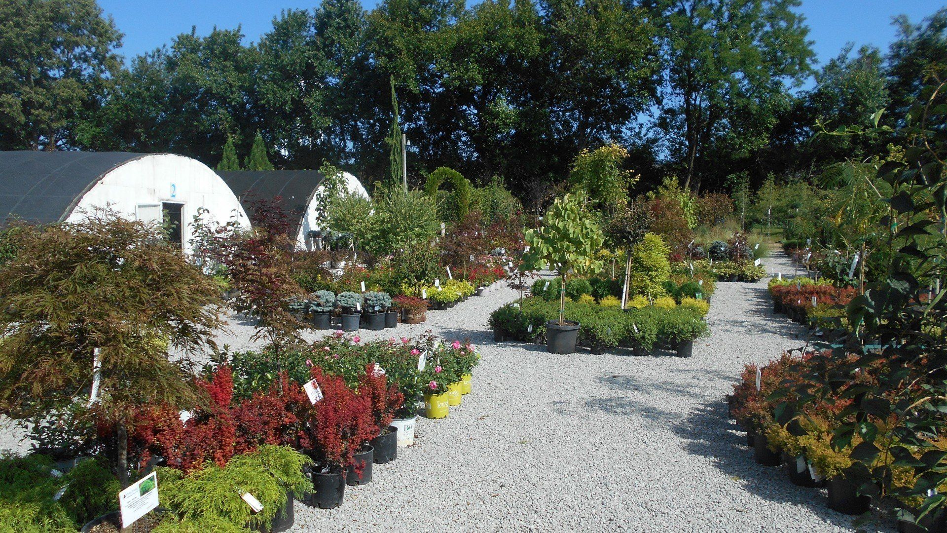 Garden Center & Tree Nursery in Nicholasville, KY Glynn Young's