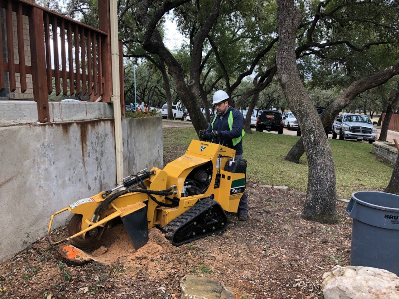 Gainesville antonio, tree removal FL stump san