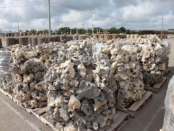 Honeycomb Rock, Texas Holey Rock | Aquarium Supplies in San Antonio,TX