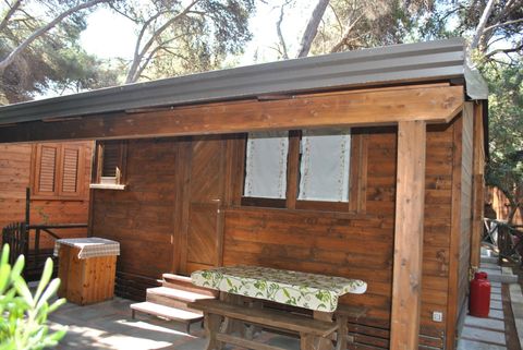 escursioni-immersioni