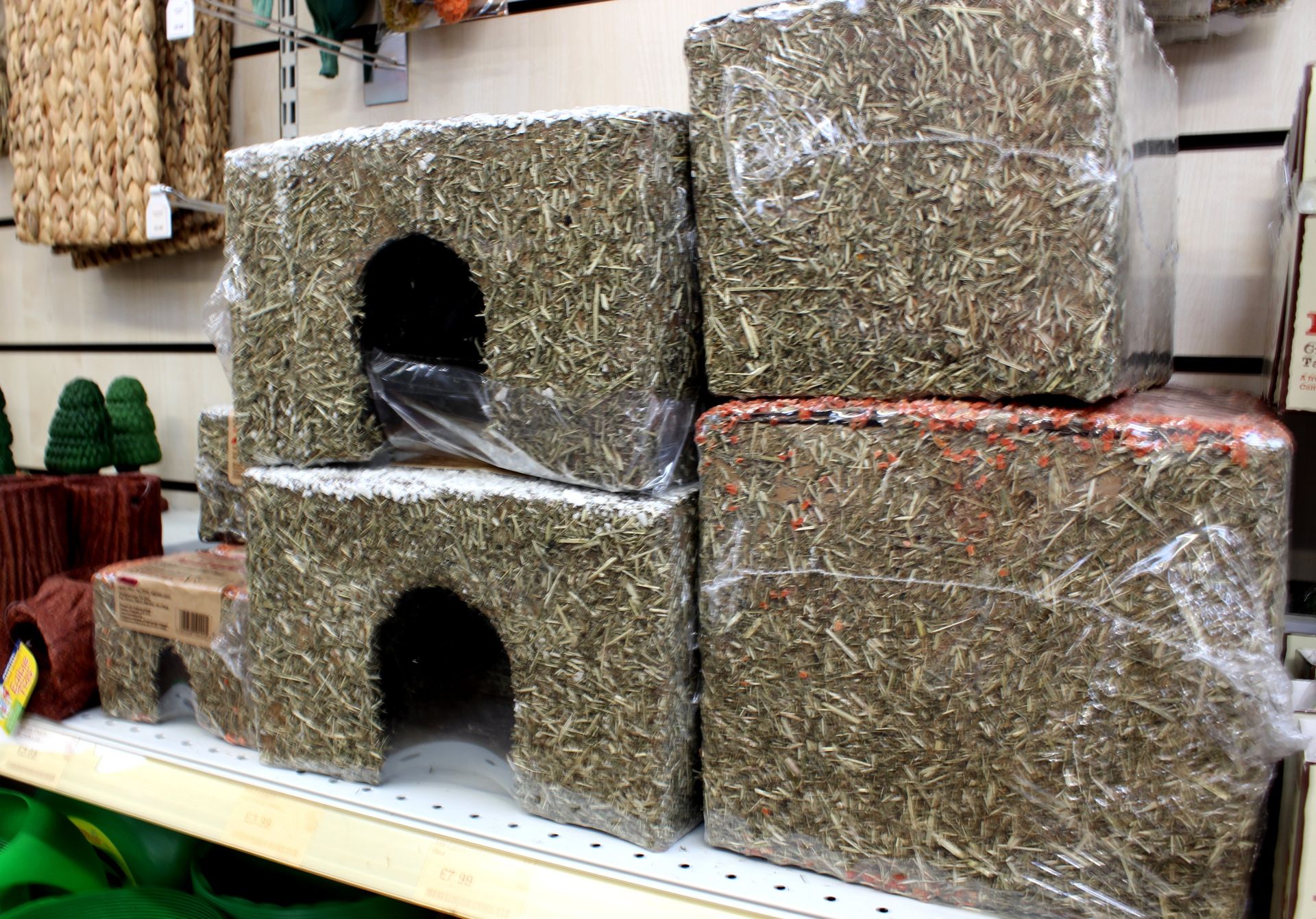 Guinea Pigs, Pets Plus Berkshire Pet Shop Aborfield