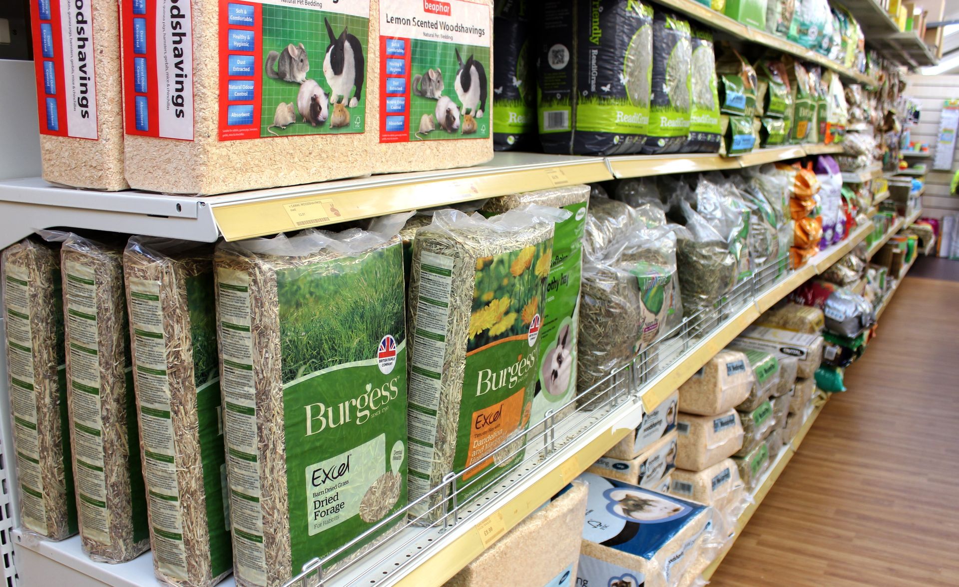 Guinea Pigs, Pets Plus Berkshire Pet Shop Aborfield