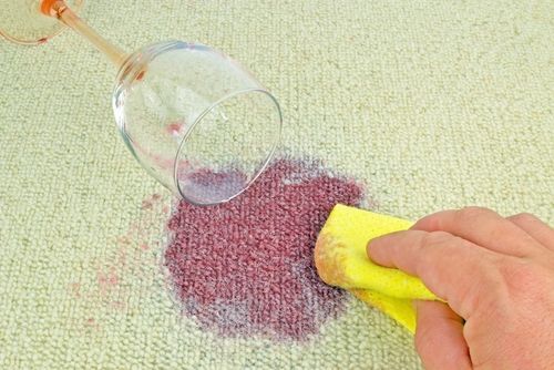 16 Best Aurora Carpet Cleaners Expertise