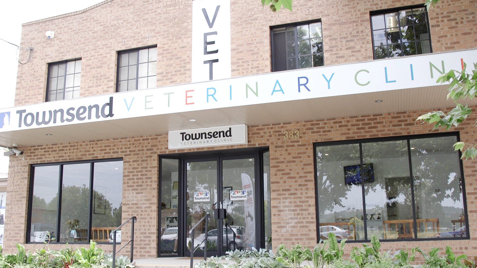 Rooftop Media Townsend Veterinary Clinic