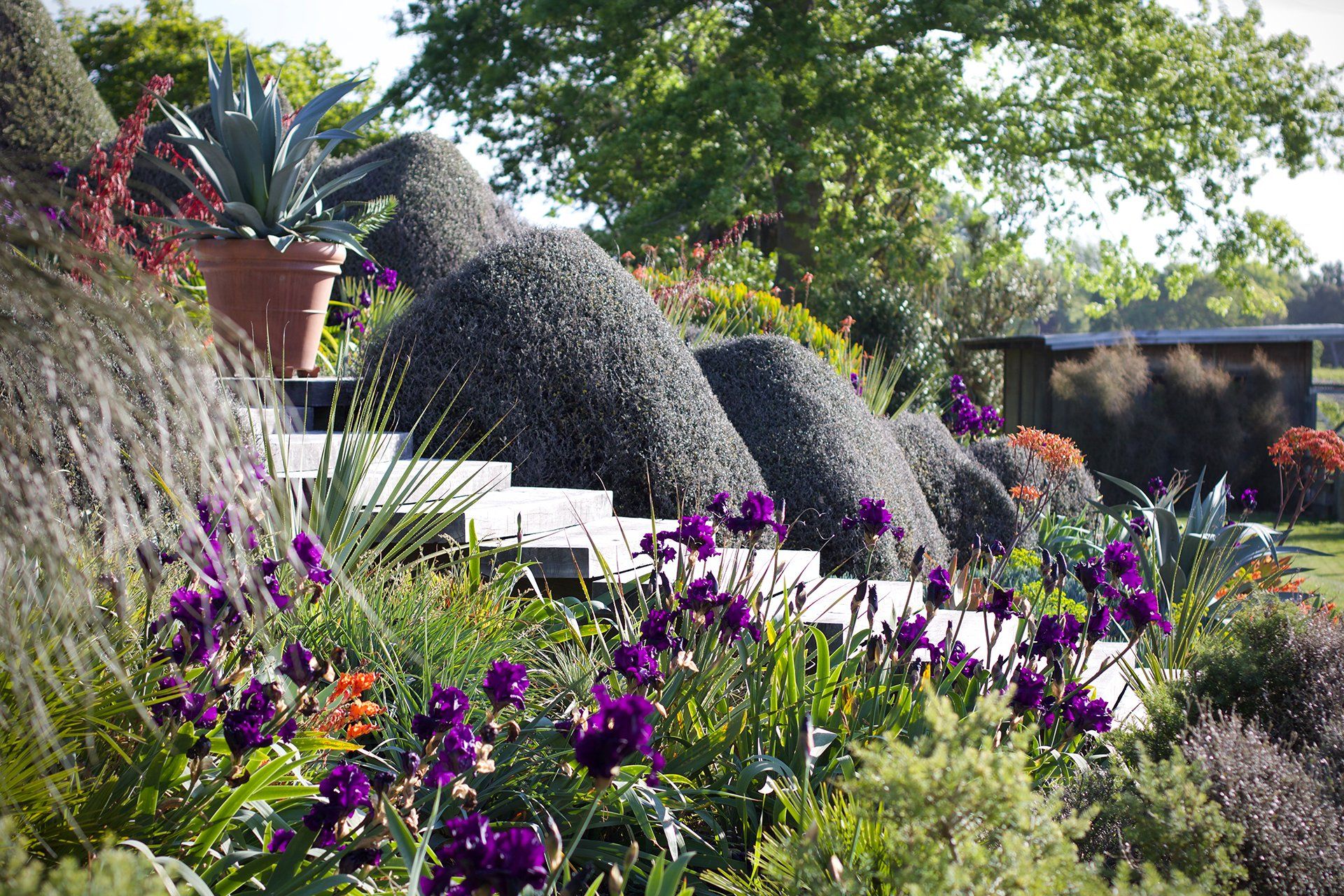 Welton House Gardens Marlborough, New Zealand