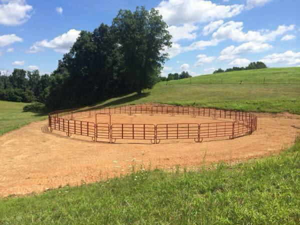 Heavy Duty 24 Portable Freestanding Livestock Panels Bigiron Auctions Cattle Corrals Cattle Panels Horse Barns