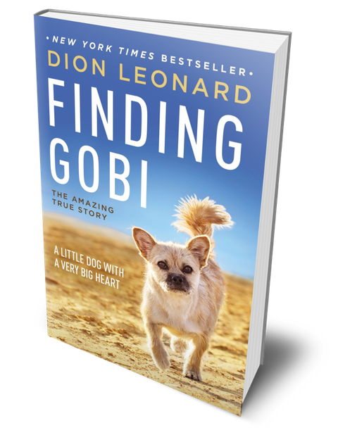 Finding Gobi Dion Leonard And Gobi Events And Book Tour