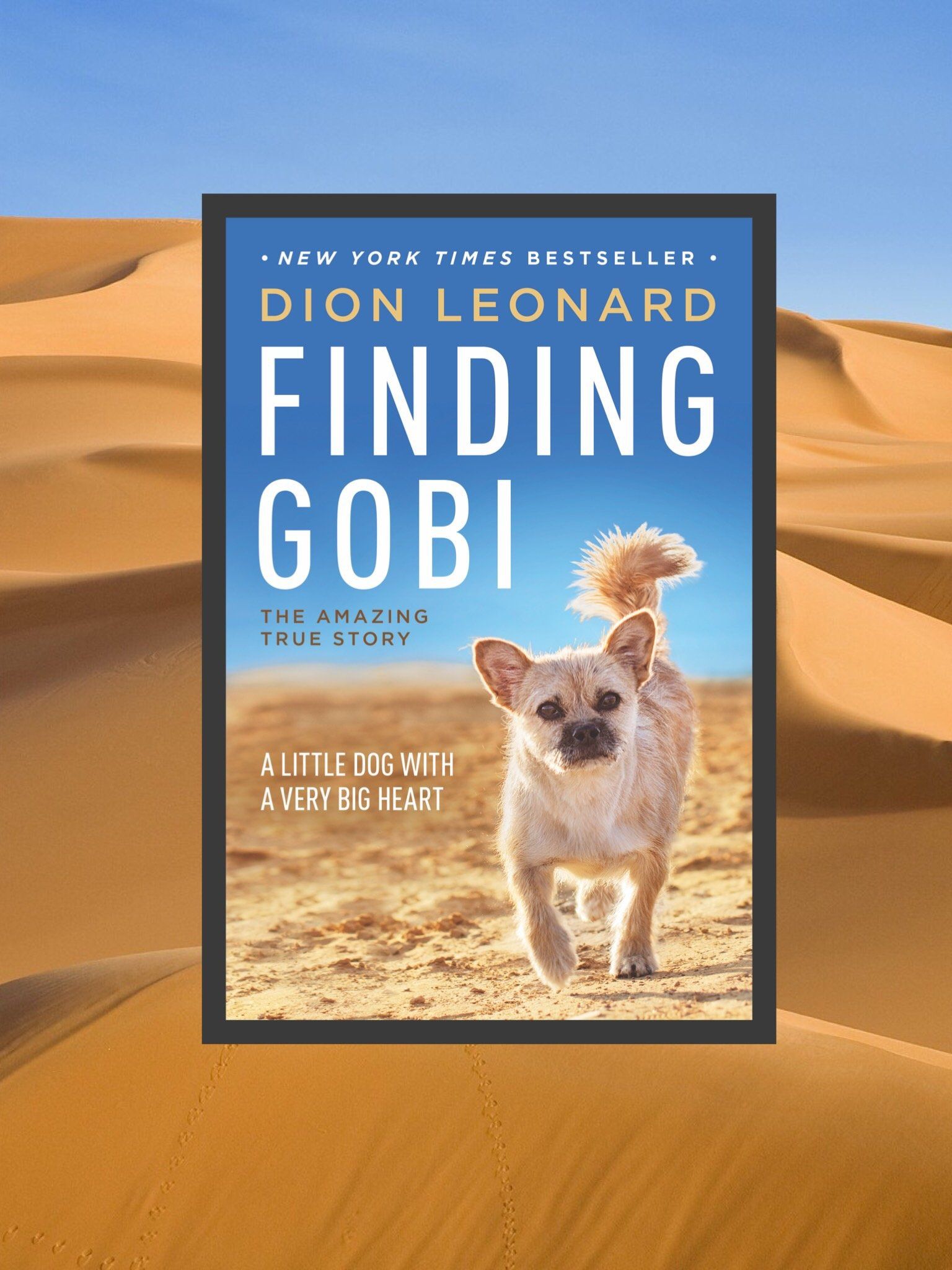 finding gobi book report