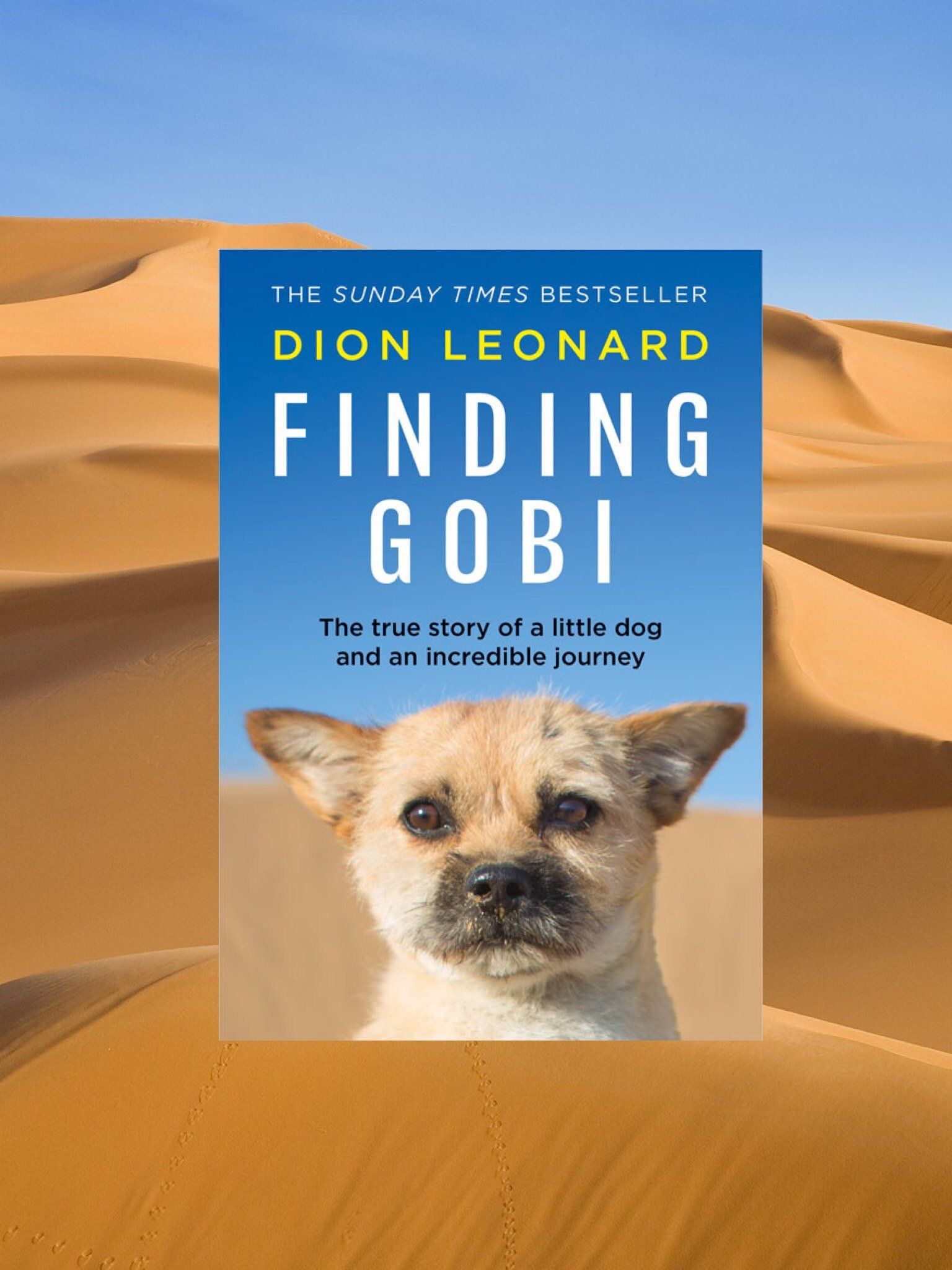 finding gobi book report