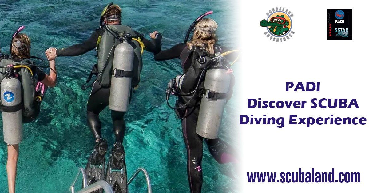 padi scuba travel expert