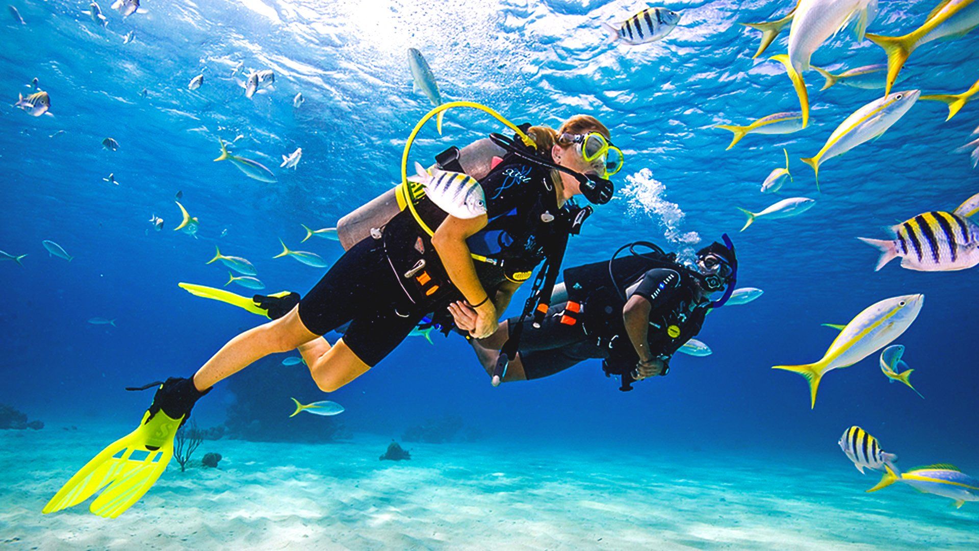 scuba diving experience tours
