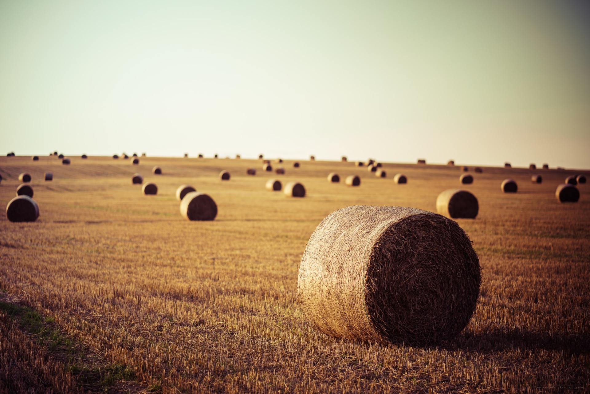 Hay Broker Hay Hauling Aberdeen, SD 5073176160