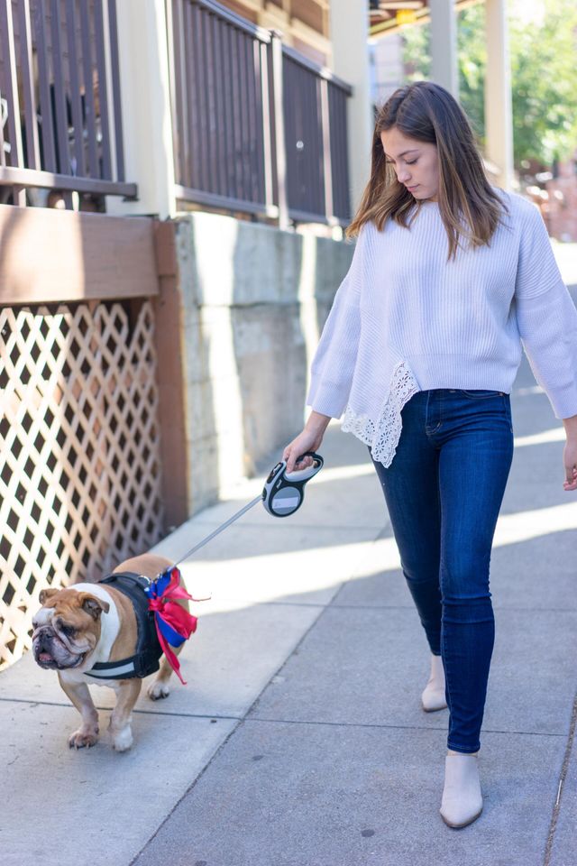 best time to walk dog